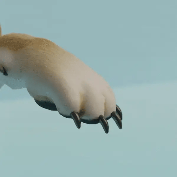 Soft Pet Paws™ - Dog Nail Grinder - Flip'n'Cook